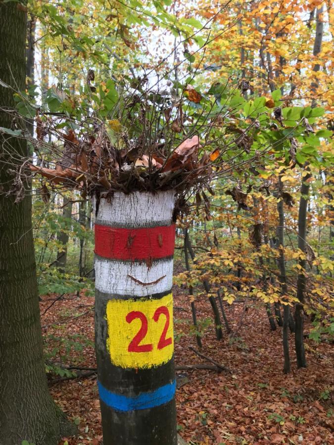 Haus-Iris-Mauerbach Villa Exteriör bild